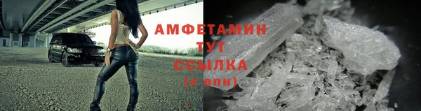 прущие грибы Красноперекопск
